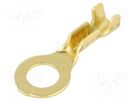 Tip: ring; M5; 0.5÷1mm2; crimped; for cable; non-insulated; brass BM GROUP
