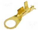 Tip: ring; M5; 1÷2.5mm2; crimped; for cable; non-insulated; brass BM GROUP