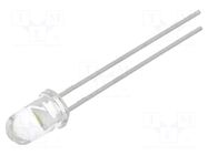 LED; white cold; 5mm; 13000÷29000mcd; 15°; Front: convex LITEON