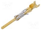 Contact; male; 16; brass; gold-plated; 0.75÷1.5mm2; 18AWG÷16AWG TE Connectivity