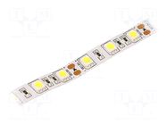 LED tape; white cold; 5050; LED/m: 60; 10mm; IP20; 120°; 14.4W/m LUCKYLIGHT