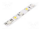 LED tape; RGBW; 5050; 24V; LED/m: 60; 12mm; IP20; 14.7W/m; Thk: 2mm Ledxon