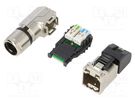 Plug; RJ45; PIN: 8; Cat: 6a; shielded; Layout: 8p8c; 5.5÷10mm; IDC LAPP