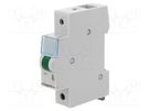 LED indicator; 230VAC; for DIN rail mounting; Colour: green LEGRAND