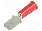 Terminal: flat; 6.4mm; 0.8mm; male; crimped; for cable; insulated KEYSTONE