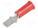 Terminal: flat; 4.8mm; 0.5mm; male; crimped; for cable; insulated KEYSTONE