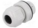 Cable gland; IP68; polyamide; light grey; push-in; SKINTOP® CLICK LAPP