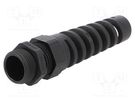 Cable gland; with strain relief; PG13,5; IP68; polyamide; black LAPP