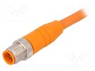 Connection lead; M12; straight; 2m; plug; 250VAC; 4A; -25÷80°C; PVC LUMBERG AUTOMATION