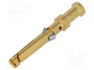 Contact; female; copper alloy; nickel plated,gold-plated; Han® D HARTING