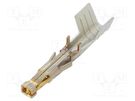 Contact; female; gold-plated; 12AWG; Mega-Fit; cut from reel; 23A MOLEX