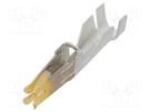 Contact; female; gold-plated; 12AWG÷10AWG; Mini-Fit Sr; crimped MOLEX