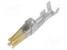 Contact; female; gold-plated; 16AWG÷14AWG; Mini-Fit Sr; crimped MOLEX