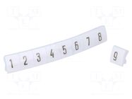 Marker; for rail connectors; push-in; white; 250pcs; 5mm KURANT