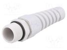Cable gland; with strain relief; PG13,5; IP68; polyamide; grey BM GROUP