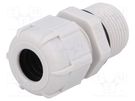 Cable gland; with long thread; PG13,5; IP68; polyamide; grey BM GROUP