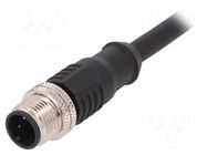 Connector: M12; plug; male; PIN: 3; straight; 4A; 250V; IP67; cables BULGIN