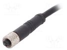 Connector: M5; plug; female; cables; PIN: 3; 1A; straight; IP67; 60V BULGIN