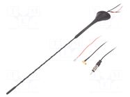 Antenna; automotive; 0.41m; AM,DAB,FM; with amplifier; 5m; 10dB 4CARMEDIA