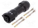 Connector: circular; plug; for cable; PIN: 4; female; with contacts AMPHENOL LTW