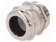 Cable gland; PG29; IP68; brass BM GROUP