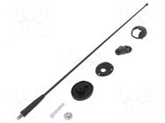 Antenna; car top,automotive; 400mm; AM,FM; Ømount.hole: 10.2mm MTA