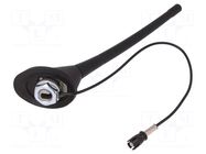 Antenna; car top,automotive; 175mm; AM,FM; VW; 0.3m 4CARMEDIA