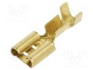 Terminal: flat; 6.3mm; 0.8mm; female; 1÷2.5mm2; crimped; for cable IMP