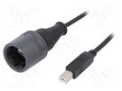 Adapter cable; USB 2.0; USB A plug (sealed),USB B plug; 1A; 2m BULGIN
