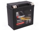 Re-battery: acid-lead; 12V; 12Ah; AGM; maintenance-free,left + BPOWER