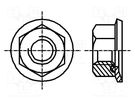 Nut; with flange; hexagonal; M4; 0.7; steel; Plating: zinc; 7mm BOSSARD