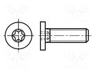 Screw; M4x20; 0.7; Head: cheese head; Torx®; TX10; steel; zinc BOSSARD