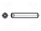 Screw; M4x30; 0.7; Head: without head; hex key; HEX 2mm; steel; zinc BOSSARD