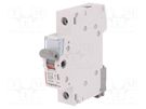 Switch-disconnector; Poles: 1; for DIN rail mounting; 32A; 250VAC LEGRAND
