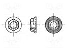 Nut; hexagonal; M8; 1.25; steel; Plating: black finish; H: 7mm; 13mm BOSSARD