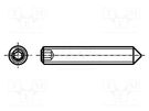 Screw; M4x5; 0.7; Head: without head; hex key; HEX 2mm; steel; zinc BOSSARD
