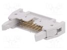 Socket; IDC; male; PIN: 16; straight; with ejector; THT; 2.54mm; grey Amphenol Communications Solutions
