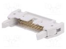 Socket; IDC; male; PIN: 20; straight; with ejector; THT; 2.54mm; grey Amphenol Communications Solutions