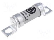 Fuse: fuse; 100A; 690VAC; 500VDC; ultra rapid; ceramic,industrial BUSSMANN