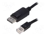 Cable; DisplayPort plug,mini DisplayPort plug; DisplayPort 1.1 QOLTEC