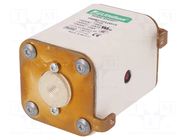 Fuse: fuse; 315A; 1.25kVAC; 1kVDC; ultra rapid; ceramic,industrial LITTELFUSE