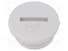Stopper; PG7; IP54; polyamide; light grey; SKINDICHT® BLK-GL; 6mm LAPP