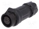 Connector: circular; plug; size 16; 02; female; PIN: 8; for latch LUTRONIC