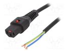 Cable; IEC C13 female,wires; PVC; 2m; with IEC LOCK locking; 10A IEC LOCK