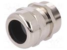 Cable gland; PG36; IP68; brass; Body plating: nickel; SKINTOP® MS LAPP