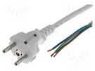 Cable; 3x1mm2; CEE 7/7 (E/F) plug,wires; PVC; 3m; white; 10A; 250V LIAN DUNG