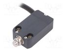 Limit switch; pin plunger Ø8mm; NO + NC; 10A; max.250VAC; lead 2m PIZZATO ELETTRICA