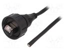 Cable; wires,RJ45 plug; Enclos.mat: polyamide; IP68; Len: 5m; 1.5A BULGIN
