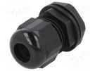 Cable gland; PG11; IP66,IP68; polyamide; black; 10pcs. ALPHA WIRE