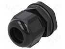 Cable gland; PG21; IP66,IP68; polyamide; black; 10pcs. ALPHA WIRE